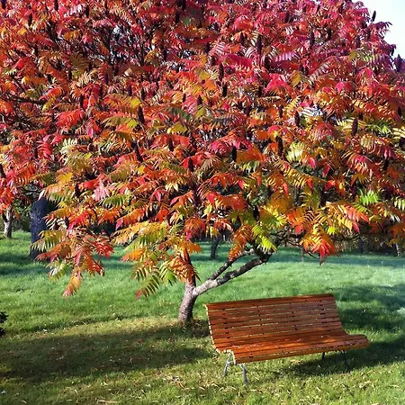 Bed & Breakfast Bluets Et Brimbelles