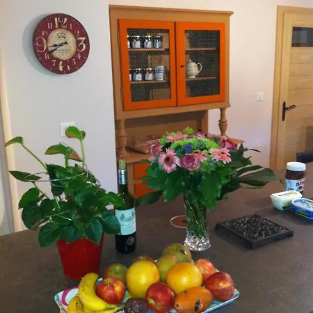 Bluets Et Brimbelles