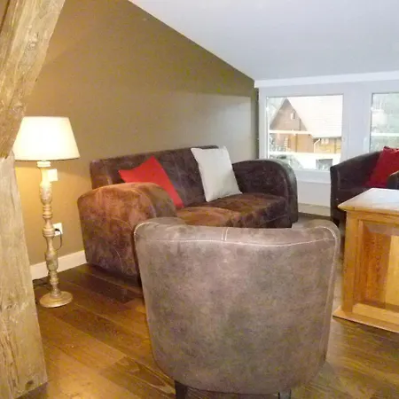 Bluets Et Brimbelles